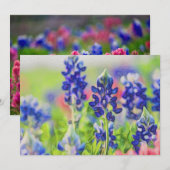 Impressionistic Bluebonnets (Front/Back)