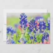 Impressionistic Bluebonnets (Front)