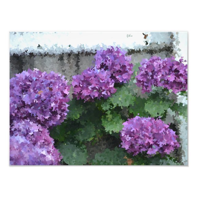 Impressionistic Hydrangea Photo Print (Front)