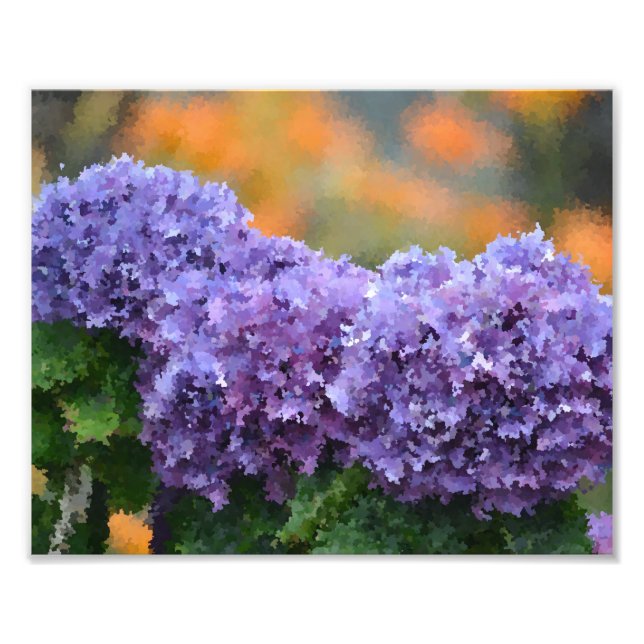 Impressionistic Hydrangeas Photo Print (Front)