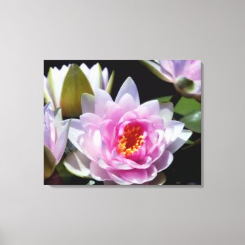 Impressionistic Waterlilies Canvas Wrap Print by artinphotography at Zazzle
