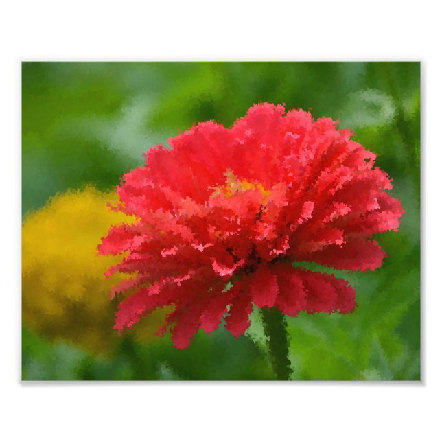 Impressionistic Zinnia Photo Print (Front)