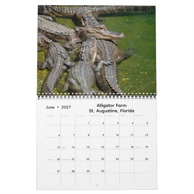 Impressions of Florida 2026 Calendar (Jun 2027)