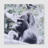 impressive animal-gorilla (Front)