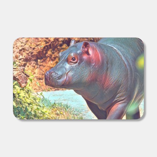 Impressive Animal _ Hippo  Matchboxes