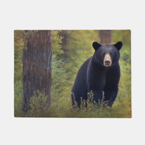 Impressive Black Bear Doormat