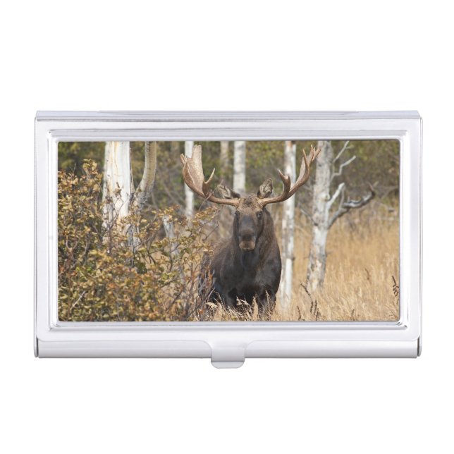 Impressive Bull Moose Business Card Case (Front)