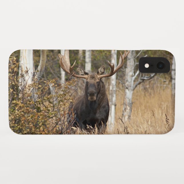 Impressive Bull Moose Case-Mate iPhone Case (Back (Horizontal))