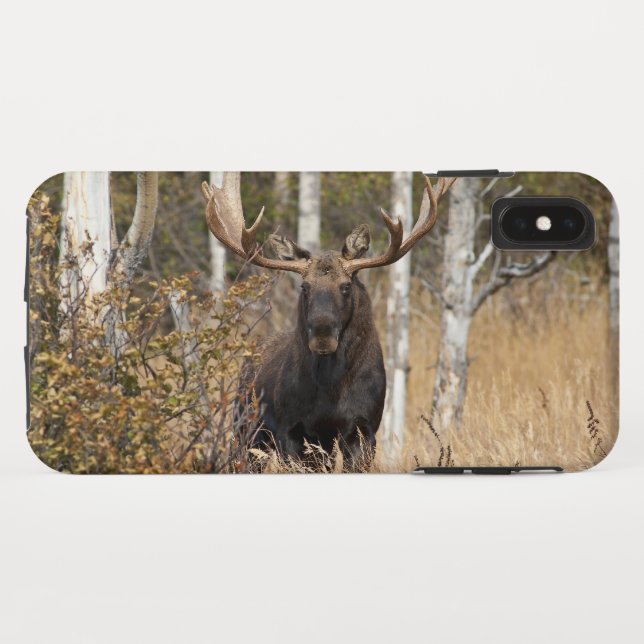 Impressive Bull Moose Case-Mate iPhone Case (Back (Horizontal))