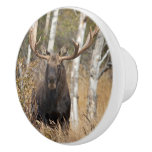 Impressive Bull Moose Ceramic Knob