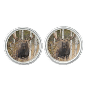 Impressive Bull Moose Cufflinks