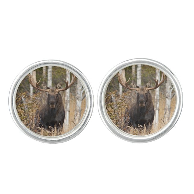 Impressive Bull Moose Cufflinks (Front)