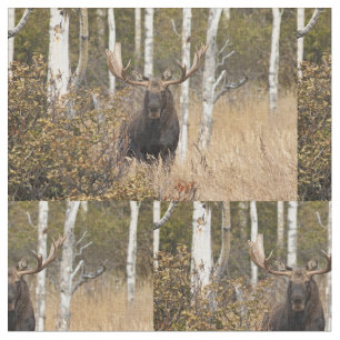 Impressive Bull Moose Fabric