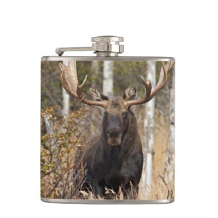 Impressive Bull Moose Flask