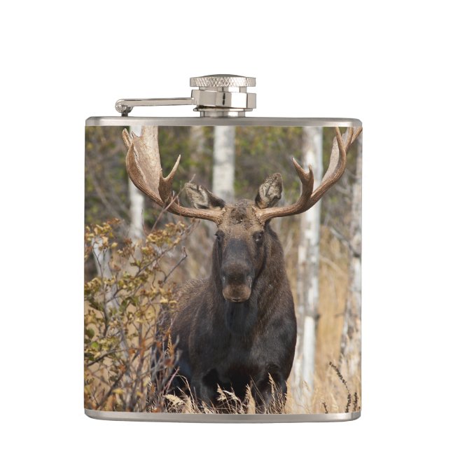 Impressive Bull Moose Flask (Front)