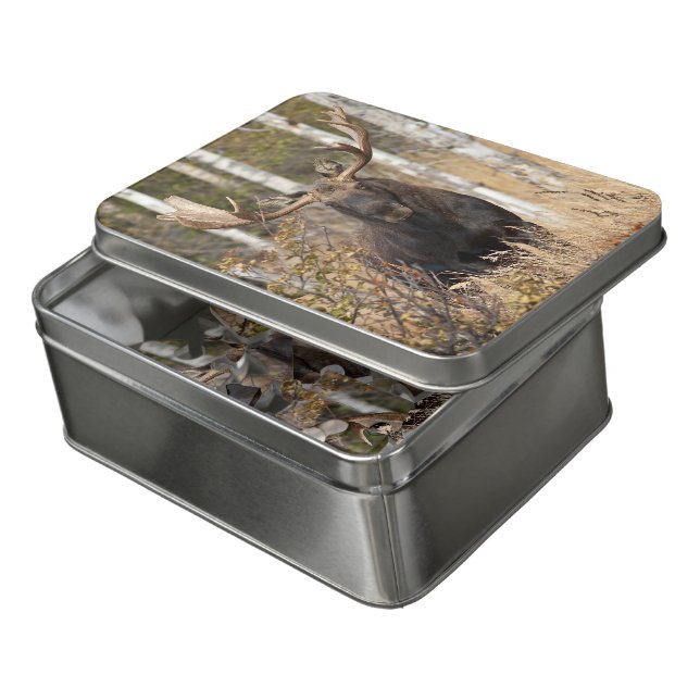 Impressive Bull Moose Jigsaw Puzzle (Lid Open)