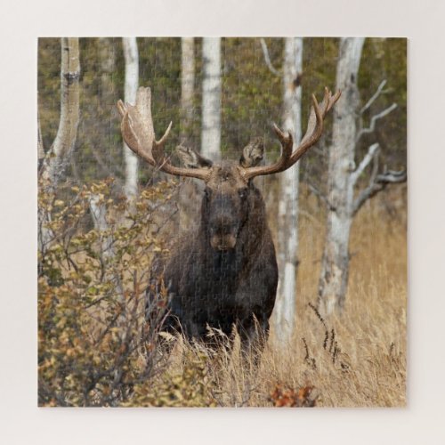 Impressive Bull Moose Jigsaw Puzzle