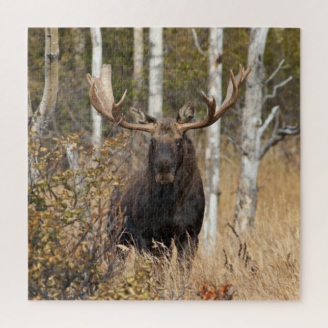 Impressive Bull Moose Jigsaw Puzzle (Vertical)