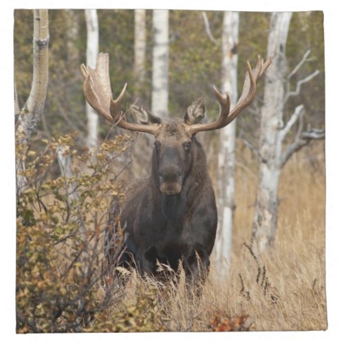 Impressive Bull Moose Napkin