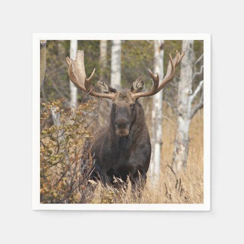 Impressive Bull Moose Napkins