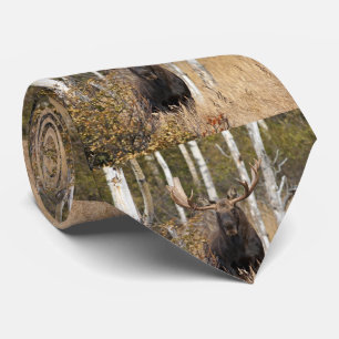 Impressive Bull Moose Neck Tie