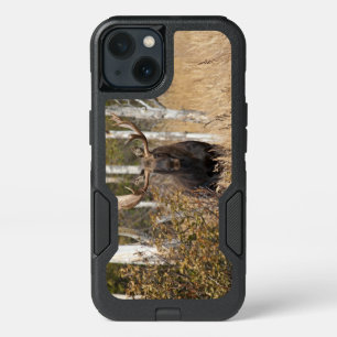 Impressive Bull Moose iPhone 13 Case