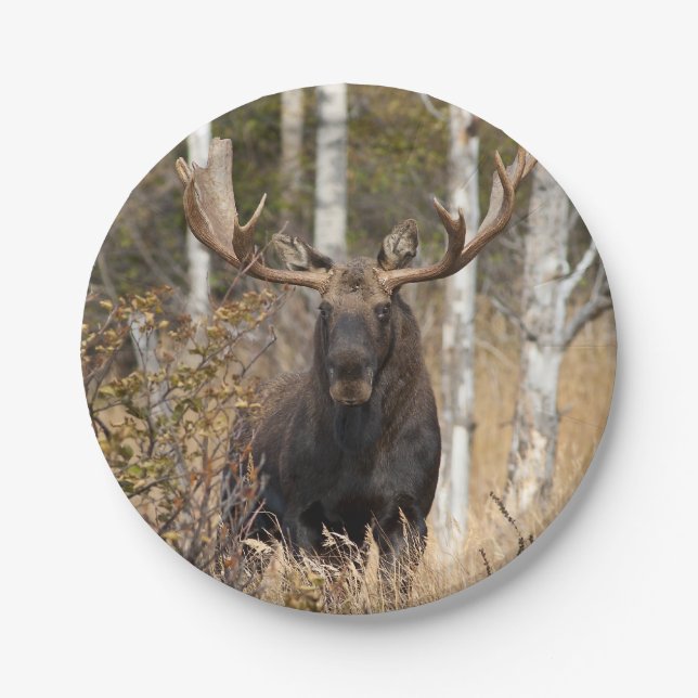 Impressive Bull Moose Paper Plates (Front)