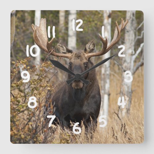 Impressive Bull Moose Square Wall Clock