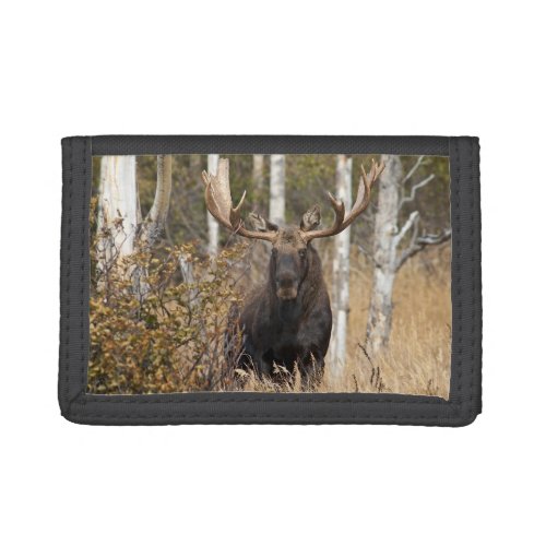 Impressive Bull Moose Trifold Wallet