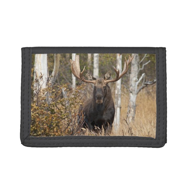 Impressive Bull Moose Trifold Wallet (Front)
