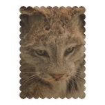 Impressive Lynx Invitation