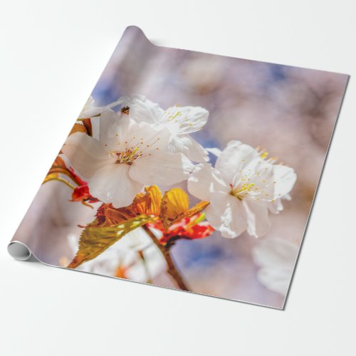 Impressive Sakura Flowers On A Sunny Day Wrapping Paper