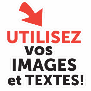 Imprimer vos designs en ligne DIY en Français Statuette