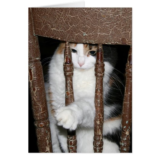 Imprisoned Cards (Front)