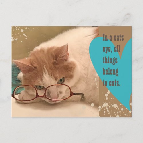 In a cats eye Cute Cat Postcard