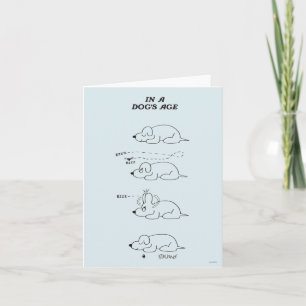 In a Dog's Age Card