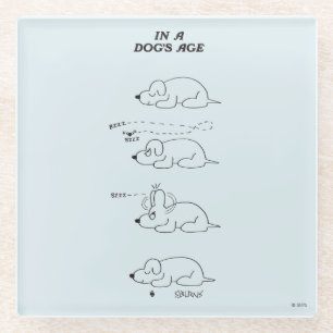 In a Dog's Age Glass Coaster
