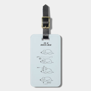 In a Dog's Age Luggage Tag