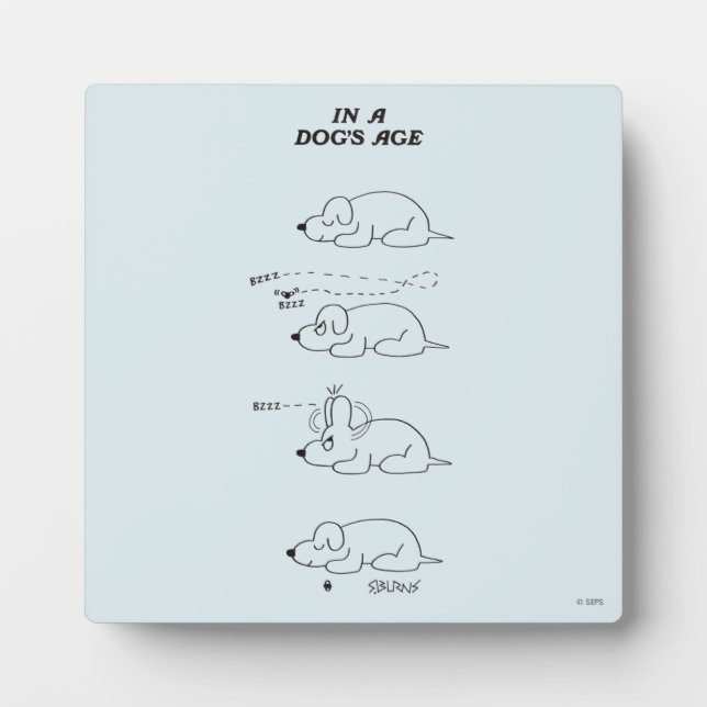 In a Dog's Age Plaque (Front)