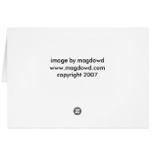 In a Fog Cards (Back Horizontal)