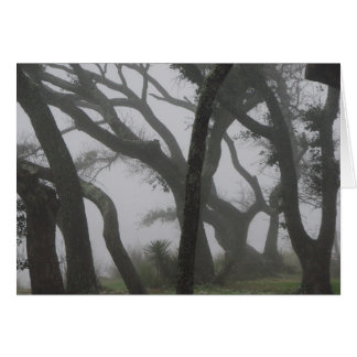 In a Fog Cards
