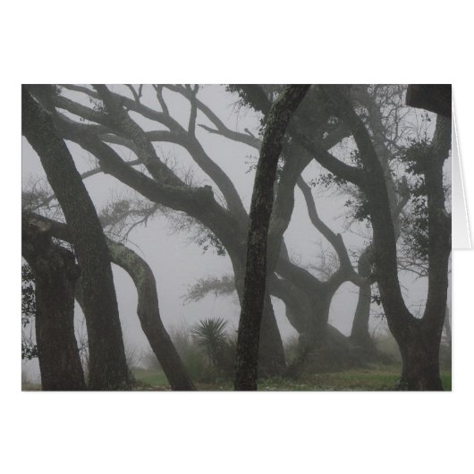 In a Fog Cards (Front Horizontal)