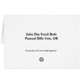 In a groove (Back Horizontal)