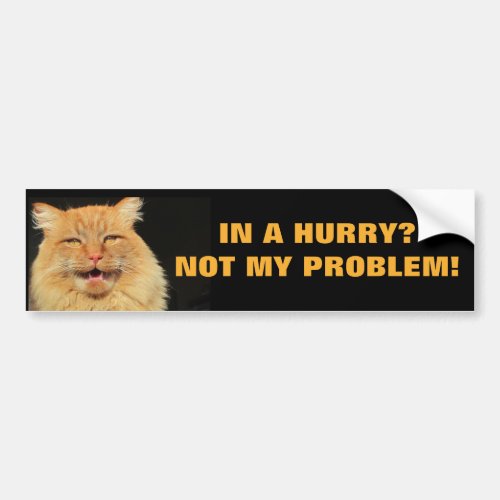 In A Hurry Not My Problem Cat Meme Bumper Sticker