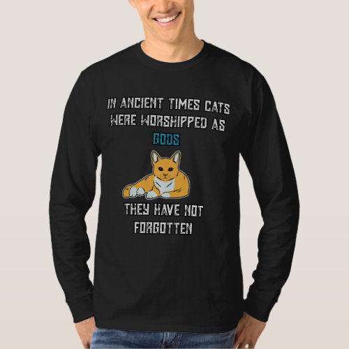 In Ancient Times Cats Were Worshipped As Gods T_Shirt