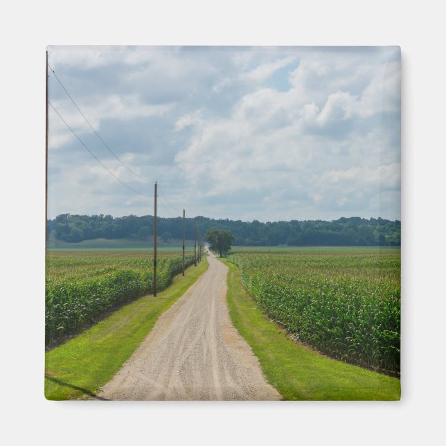 In Between Corn Fields Magnet (Front)