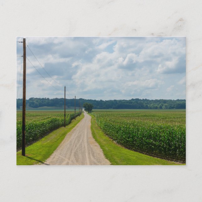 In Between Corn Fields Postcard (Front)