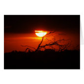 In Between the Darkness Card (Front Horizontal)