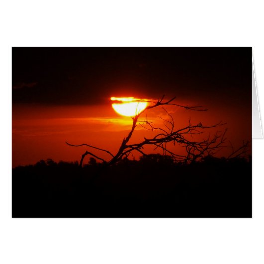 In Between the Darkness Card (Front Horizontal)