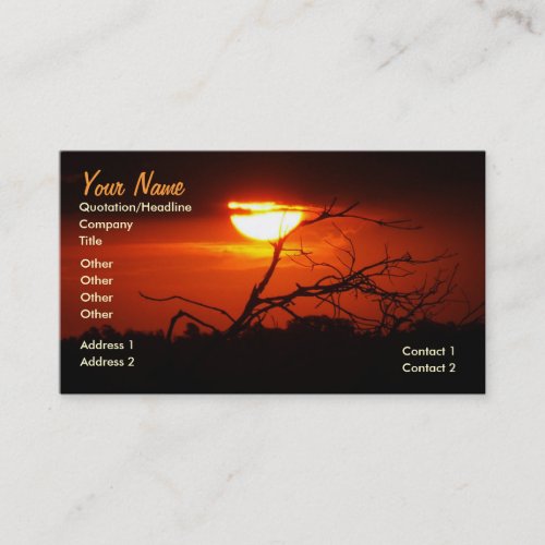 In Between the Sunset BUSINESS Card